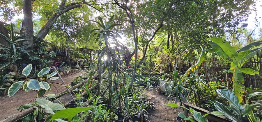 5 Bedroom Property for Sale in Swellendam Western Cape